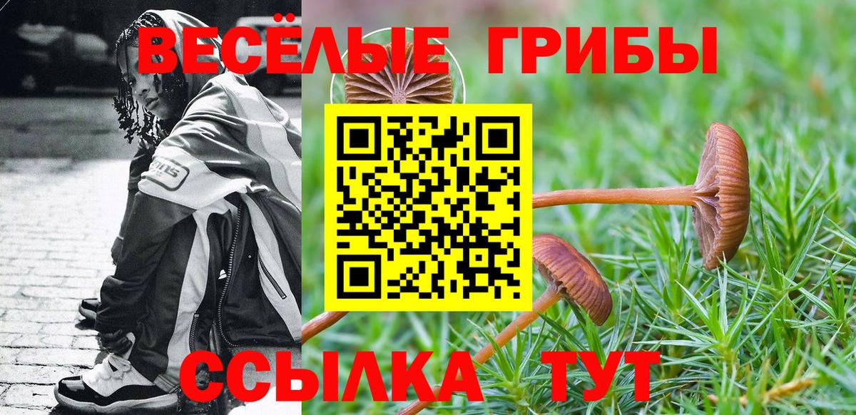 Псилоцибиновые грибы Psilocybe Семёнов